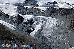 F061302: Unterer Theodulgletscher