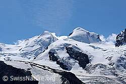 F061305: Castor und Pollux