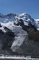 F061311: Zermatter Breithorn und Breithorngletscher