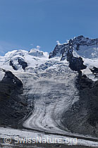F061312: Schwärzegletscher