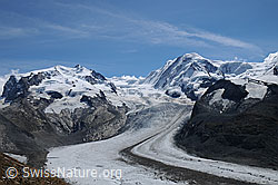F061313: Monte Rosa, Gornergletscher und Grenzgletscher