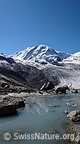 F061364: Gletscherbach, Grenzgletscher und Liskamm