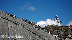 F061383: Gletscherschliff und Matterhorn