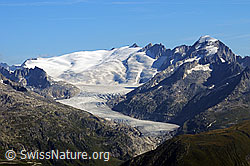 F061446: Grossfirn, Eggfirn und Rhonegletscher
