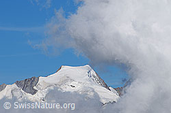 F061448: Gross Wannenhorn