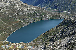 F061807: Lucendro Stausee (Lago di Lucendro)