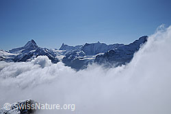 F061957: Wolkenstimmung mit Schreckhorn, Finsteraarhorn und Fiescherhörner