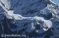 F061983: Gutzgletscher