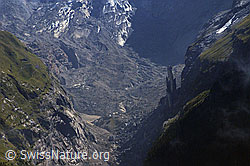 F061998: Unterer Grindelwaldgletscher