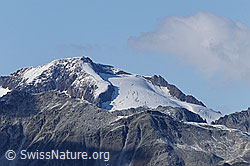 F062158: Scheuchzerhorn und Scheuchzerhorngetscher