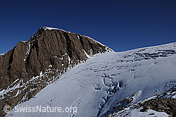 F062406: Rappehorn und Rappegletscher