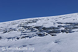 F062413: Gletscherspalten im Rappegletscher