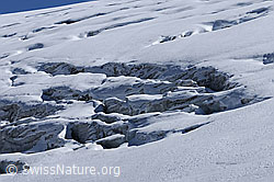 F062420: Spaltenlabyrinth im Rappegletscher