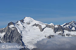 F062423: Klein Wannenhorn, Gross Wannenhorn und Triftgletscher