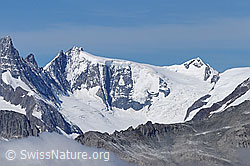 F062424: Hinter Fiescherhorn, Ochs und Walliser Fiescherfirn