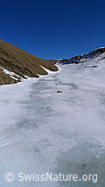 F062541: Gletscherrest