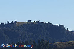 F063214: Napf
