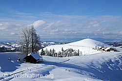 F063338: Winterlandschaft im hügeligen Emmental