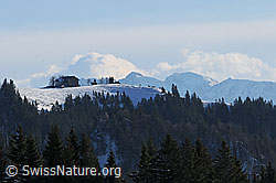 F063411: Napf mit Schnee