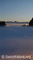 F064055: Nebelgrenze