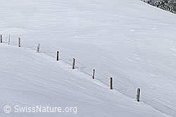 F064110: Weidezaun im Schnee
