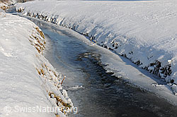 F064846: Gefrorener Bach