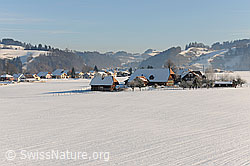 F064893: Besiedlung neu und alt