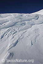 F065190: Wechte