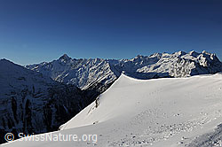 F065355: Berner Alpen von Planplatten