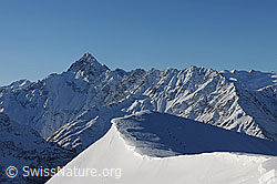 F065361: Ritzlihorn