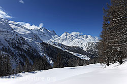 F065855: Unberührte Schneedecke