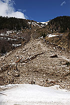 F066025: Lawinenzug und Lawinenkegel
