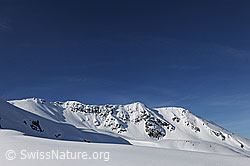F066217: Blauer Himmel über weisser Berglandschaft