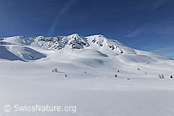 F066242: Berglandschaft im Winter