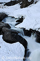 F067196: Langzeitbelichtung: Bergbach mit Schneebrücke