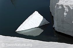 F067934: Eisscholle mit Spiegelung