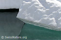 F067939: Formen und Muster in Wasser, Eis und Schnee