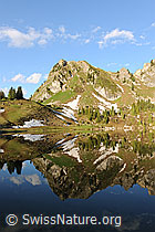 F068172: Spiegelbild Muntiggalm