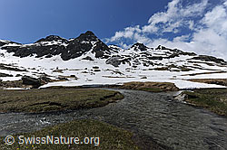 F068890: Wasserläufe und Berglandschaft