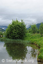 F069065: Spiegelung im Geschinersee