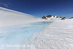 F069185: Hochebene mit Schnee, Wasser und Eis