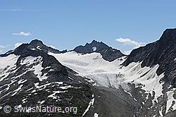 F070195: Gross Leckihorn, Muttengletscher, Pizzo Rotondo