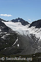 F070204: Muttengletscher und Pizzo Rotondo