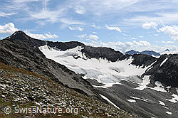F070274: Gross Muttenhorn und Muttgletscher