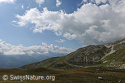 F070680: Rundsee