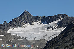 F070966: Gross Muttenhorn und Muttgletscher