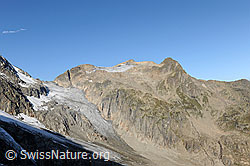 F071035: Giglistock, Giglistockfirn und Steilimigletscher