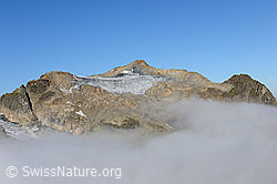 F071037: Giglistock und Giglistockgletscher