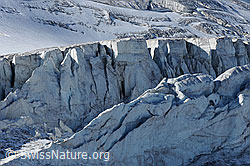 F071047: Gletscherabbruch im Steilimigletscher (Steinlimigletscher)