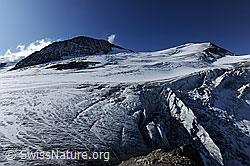 F071067: Gwächtehorn, Mittler Tierberg und Steinlimigletscher